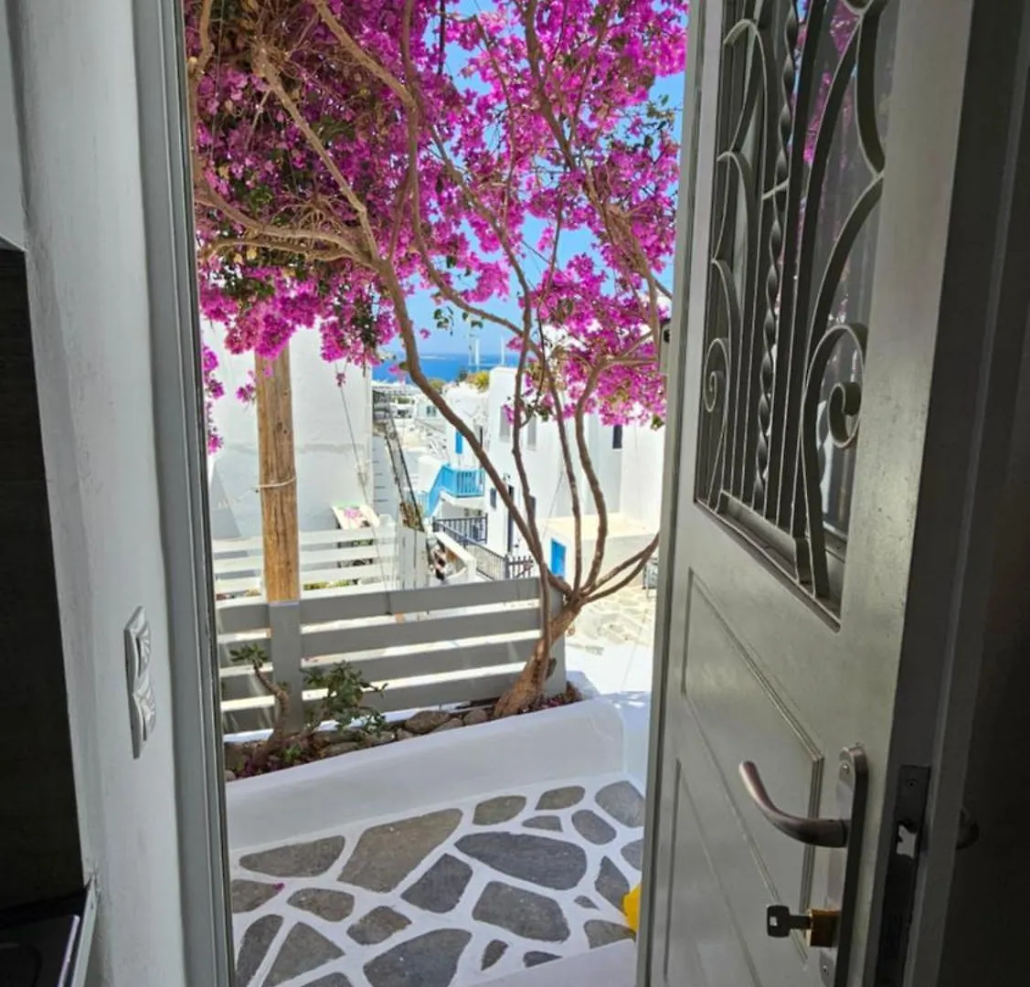 Hotel Eleanna'S Apartment Mykonos Island